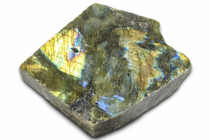 Single Side Polished Labradorite Section - Madagascar #364267